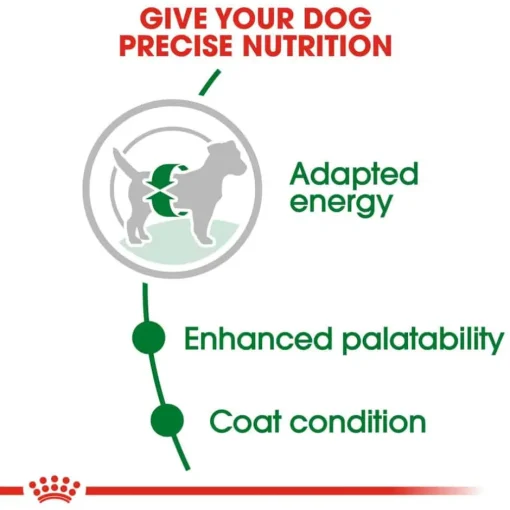 Outlet Royal Canin Size Health Nutrition Small Breed Adult Dry Dog Food