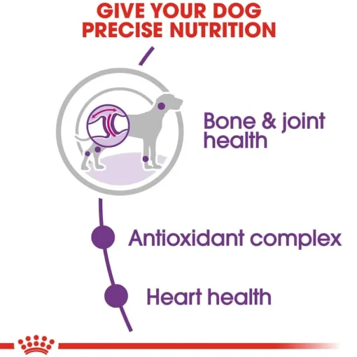 Sale Royal Canin Size Health Nutrition Giant Breed Adult Dry Dog Food