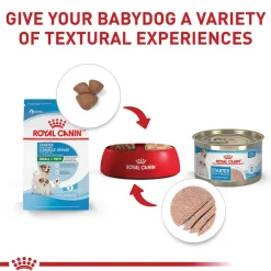 New Royal Canin Size Health Nutrition Small Breed Starter Mother & Babydog Dry Puppy Food