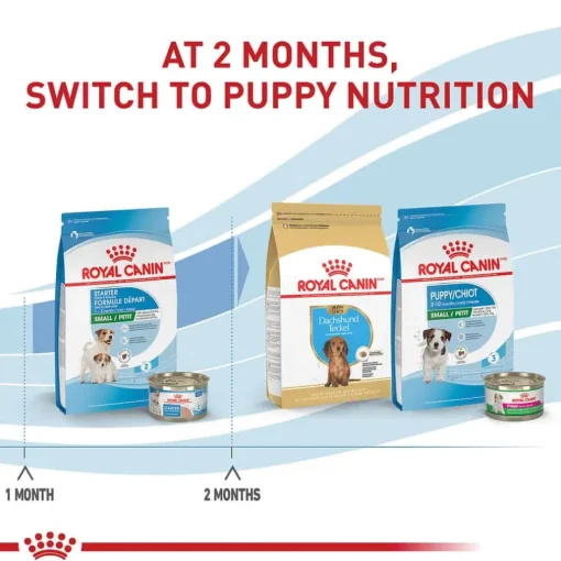 New Royal Canin Size Health Nutrition Small Breed Starter Mother & Babydog Dry Puppy Food