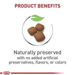 Hot Royal Canin Size Health Nutrition Giant Breed Junior Dry Dog Food