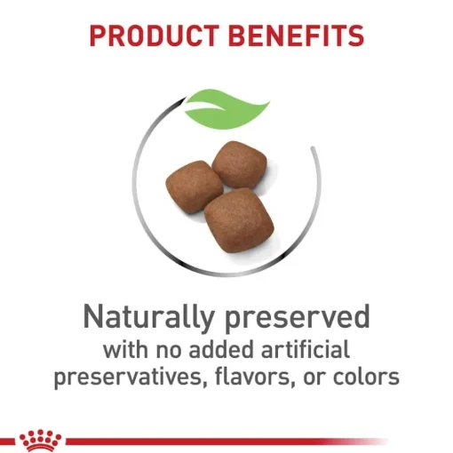 Hot Royal Canin Size Health Nutrition Giant Breed Junior Dry Dog Food