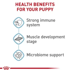 Hot Royal Canin Size Health Nutrition Giant Breed Junior Dry Dog Food