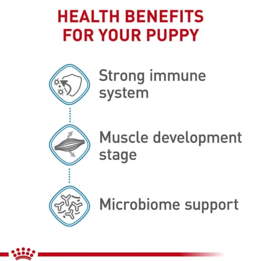 Hot Royal Canin Size Health Nutrition Giant Breed Junior Dry Dog Food