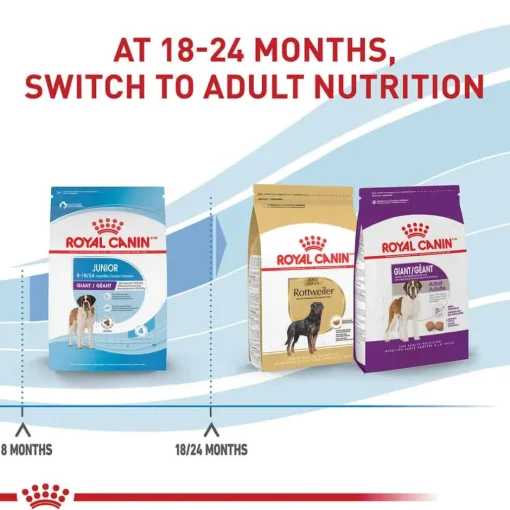 Hot Royal Canin Size Health Nutrition Giant Breed Junior Dry Dog Food