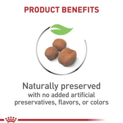 Fashion Royal Canin Size Health Nutrition Giant Breed Puppy Dry Dog Food