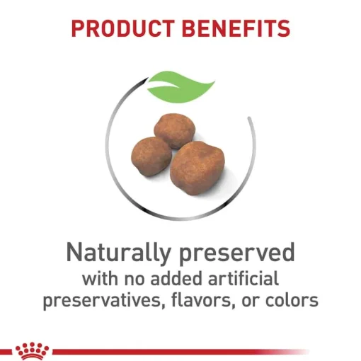 Fashion Royal Canin Size Health Nutrition Giant Breed Puppy Dry Dog Food