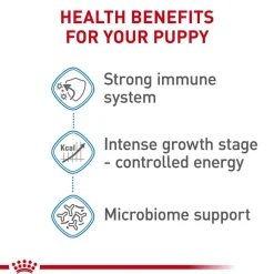 Fashion Royal Canin Size Health Nutrition Giant Breed Puppy Dry Dog Food