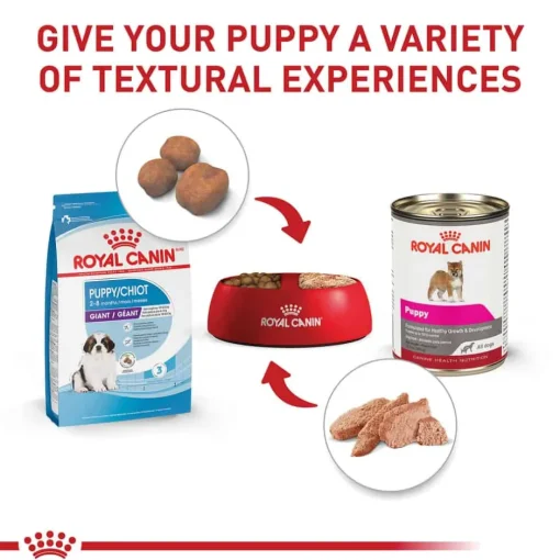 Fashion Royal Canin Size Health Nutrition Giant Breed Puppy Dry Dog Food