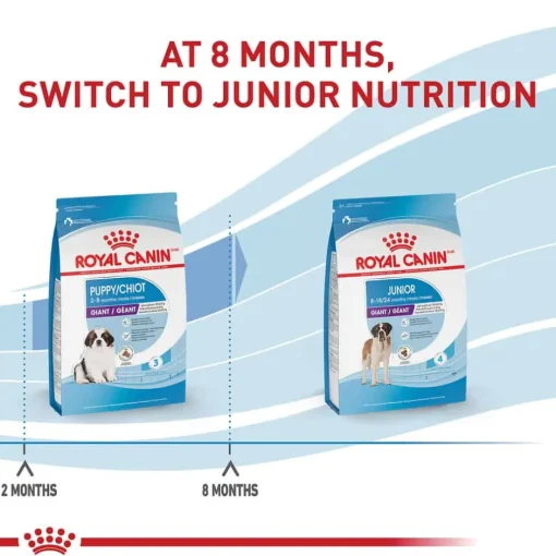 Fashion Royal Canin Size Health Nutrition Giant Breed Puppy Dry Dog Food