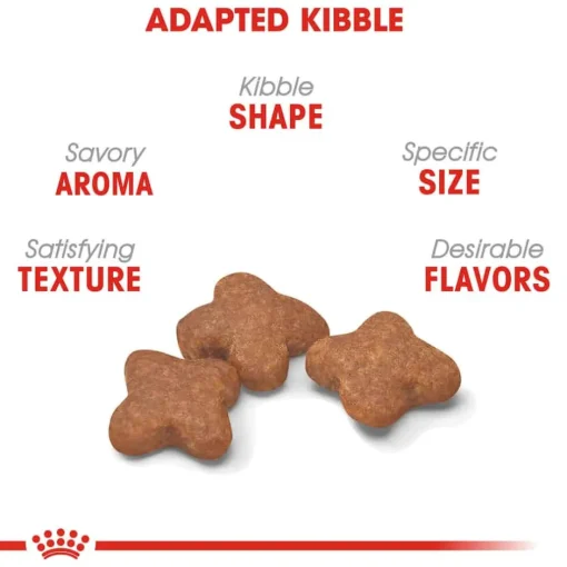 New Royal Canin Size Health Nutrition Small Breed Adult 8+ Dry Dog Food