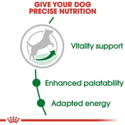 New Royal Canin Size Health Nutrition Small Breed Adult 8+ Dry Dog Food