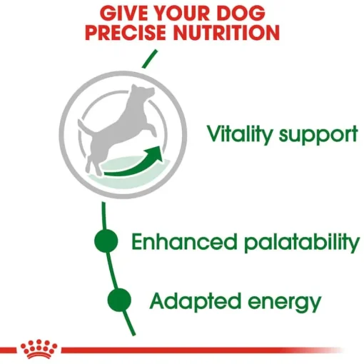 New Royal Canin Size Health Nutrition Small Breed Adult 8+ Dry Dog Food