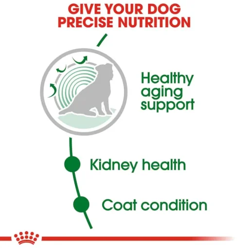 Outlet Royal Canin Size Health Nutrition Small Breed Aging 12+ Dry Dog Food
