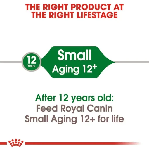 Outlet Royal Canin Size Health Nutrition Small Breed Aging 12+ Dry Dog Food