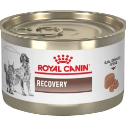 Best Royal Canin Veterinary Diet Recovery Ultra Soft Mousse in Sauce Wet Cat & Dog Food