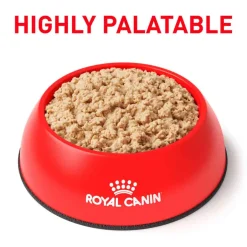Best Royal Canin Veterinary Diet Recovery Ultra Soft Mousse in Sauce Wet Cat & Dog Food