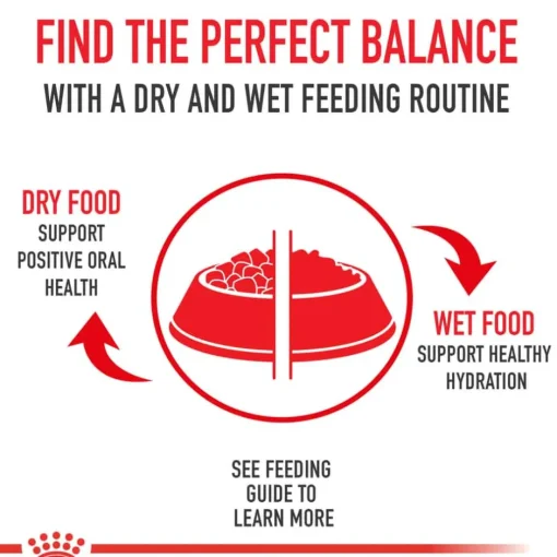 Best Royal Canin Veterinary Diet Recovery Ultra Soft Mousse in Sauce Wet Cat & Dog Food
