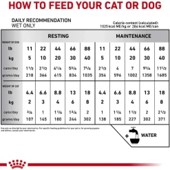Best Royal Canin Veterinary Diet Recovery Ultra Soft Mousse in Sauce Wet Cat & Dog Food