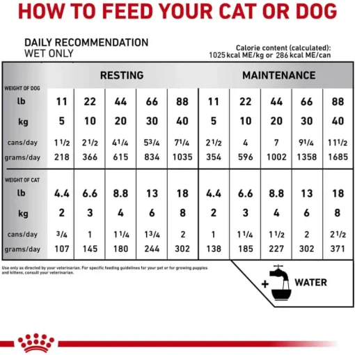 Best Royal Canin Veterinary Diet Recovery Ultra Soft Mousse in Sauce Wet Cat & Dog Food