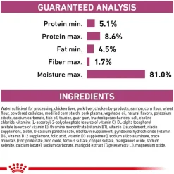 Online Royal Canin Veterinary Diet Feline Renal Support T Thin Slices In Gravy Wet Cat Food