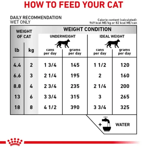 Online Royal Canin Veterinary Diet Feline Renal Support T Thin Slices In Gravy Wet Cat Food