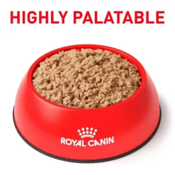 Clearance Royal Canin Veterinary Diet Feline Urinary SO Loaf in Sauce Wet Cat Food