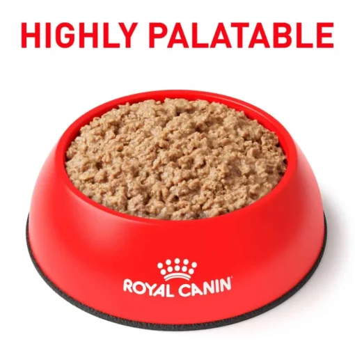 Clearance Royal Canin Veterinary Diet Feline Urinary SO Loaf in Sauce Wet Cat Food