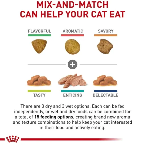 Best Royal Canin Veterinary Diet Feline Renal Support Cat Food Starter Kit