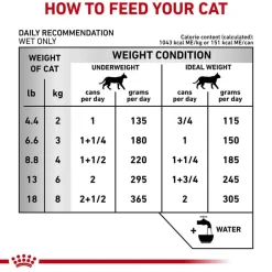 Best Royal Canin Veterinary Diet Feline Renal Support Cat Food Starter Kit