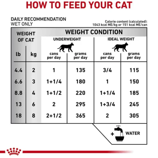 Best Royal Canin Veterinary Diet Feline Renal Support Cat Food Starter Kit