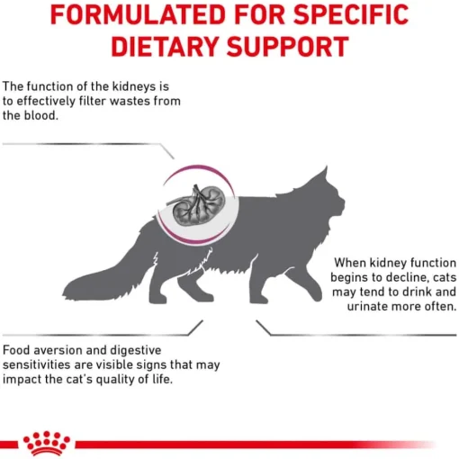Best Royal Canin Veterinary Diet Feline Renal Support S Dry Cat Food