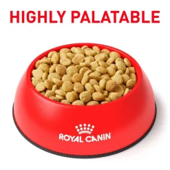 New Royal Canin Veterinary Diet Feline Satiety Support Weight Management Dry Cat Food
