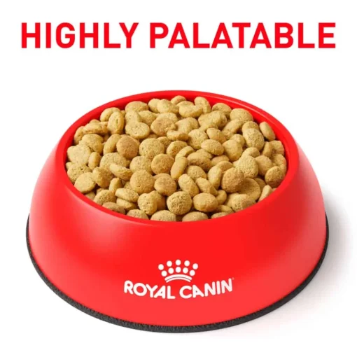 New Royal Canin Veterinary Diet Feline Satiety Support Weight Management Dry Cat Food