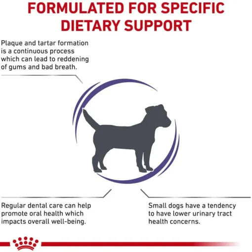 Best Royal Canin Veterinary Diet Canine Dental Small Breed Dog Dry Dog Food