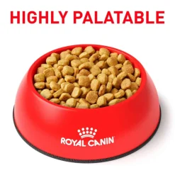 New Royal Canin Veterinary Diet Canine Ultamino Dry Dog Food