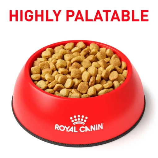 New Royal Canin Veterinary Diet Canine Ultamino Dry Dog Food