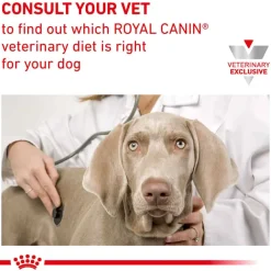 Discount Royal Canin Veterinary Diet Canine Hydrolyzed Protein Loaf Wet Dog Food