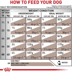 Outlet Royal Canin Veterinary Diet Canine Gastrointestinal Loaf Wet Dog Food