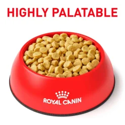 Discount Royal Canin Veterinary Diet Canine Hydrolyzed Protein PS Dry Dog Food