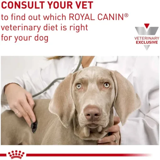 Outlet Royal Canin Veterinary Diet Canine Gastrointestinal Puppy Ultra Soft Mousse in Sauce Wet Dog Food