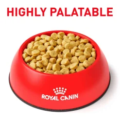 Discount Royal Canin Veterinary Diet Canine Vegetarian Dry Dog Food