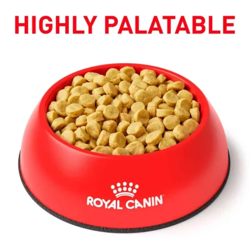 Discount Royal Canin Veterinary Diet Canine Vegetarian Dry Dog Food