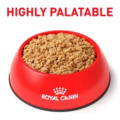 Sale Royal Canin Veterinary Diet Feline Gastrointestinal Loaf Wet Cat Food