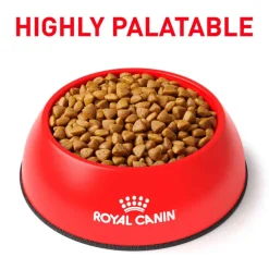 Clearance Royal Canin Veterinary Diet Feline Selected Protein PD Dry Cat Food