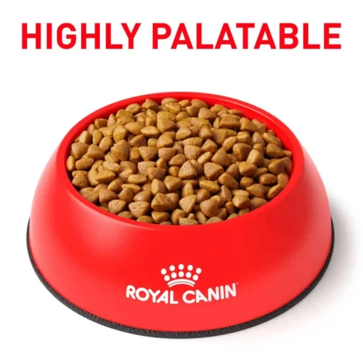 Clearance Royal Canin Veterinary Diet Feline Selected Protein PD Dry Cat Food