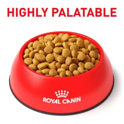 Discount Royal Canin Veterinary Diet Feline Ultamino Dry Cat Food