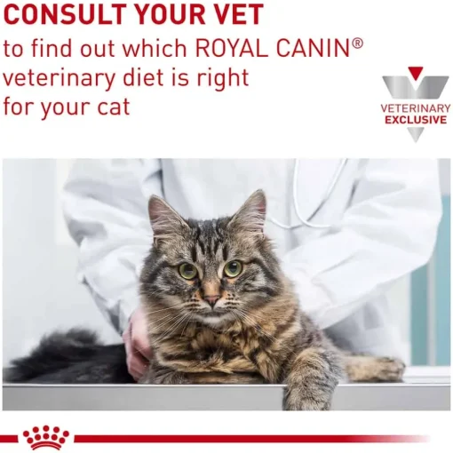 Online Royal Canin Veterinary Diet Feline Gastrointestinal Kitten Ultra Soft Mousse in Sauce Wet Cat Food