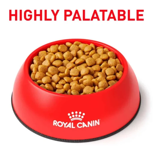 Fashion Royal Canin Veterinary Diet Canine Urinary SO Aging 7+ Dry Dog Food