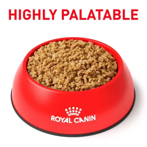 Discount Royal Canin Veterinary Diet Canine Renal Support T Loaf Wet Dog Food